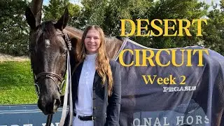 First Show Back in the US! | Desert Circuit Week 2 Vlog