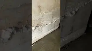 Results of inadequate crawlspace ventilation, negative grade, no rain gutters and clogged drains.