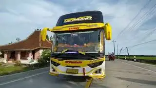 Story'wa Bus Tividi 