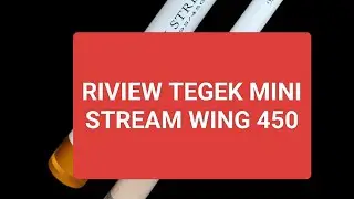 Mini Stream Wing 450 Review