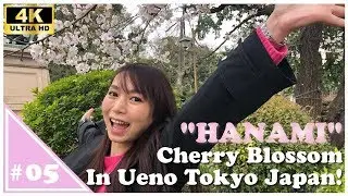 【Emyu's Japan Guide!】