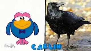 All Kikoriki Characters in Real Life