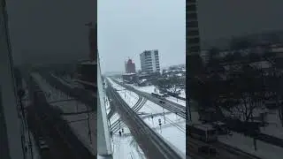 Snowy morning in Tallinn 🇪🇪❄️ | Pakistani abroad 🇵🇰