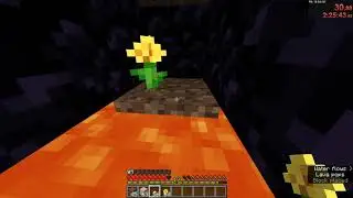 Flower, Dirt and Sand Portal