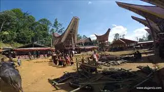Tana Toraja - family procession at funeral