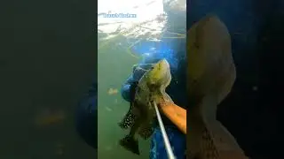 pesca sub            #am&eacute;m #mensagemdef&eacute; #jesusteama #ora&ccedil;&atilde;odanoite #amen #jesuslovesyou #fe #pesca