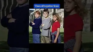 Harry Potter cast Then vs. Now