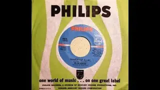 One Hit Wonders of the 1960's & 1970 on Vinyl  @ 45 RPM - JVH