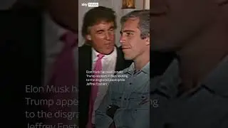 Watch: Donald Trump and Jeffrey Epstein together in 1992