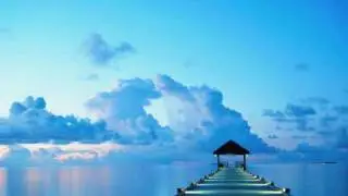 All about the sea