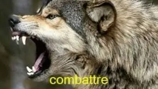 pow wow devenir cheyenne   +PAROLE° A VOIR °