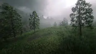Dark Nature Rain 🌧️ Piano for Deep Sleep