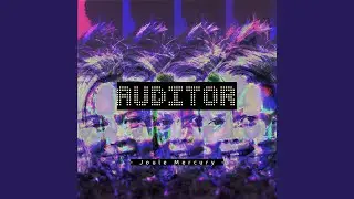 auditor