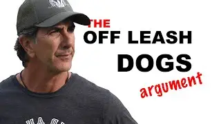 Off Leash Dog Argument - Robert Cabral Dog Training Video