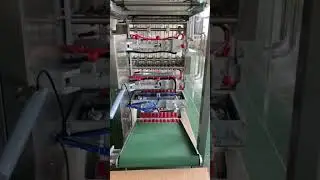 Multi Lane Packing Machine