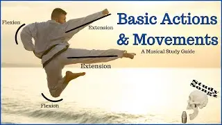 Basic Actions & Movements Re-edited - Study Songz