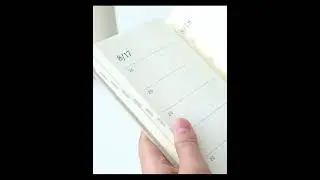 PAPERMOOD Journal Planner La vie en rose Five-Year Diary