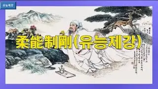 #유능제강(柔能制剛) #고사성어사자성어백과  0734유능제강