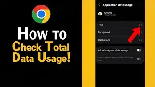 How to Check Total Data Usage of Google Chrome [NEW]