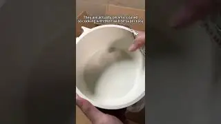 Why Are These Chemical Free Pans Flying Off The Shelves?