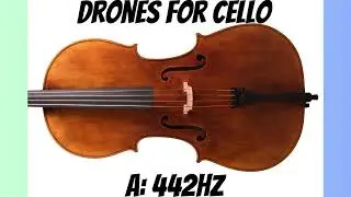 C#/Db - Cello Drones (A:442hz)