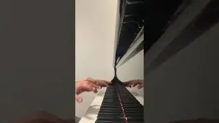 Schubert Wanderer Fantasy (first reading) #piano #music #pianopractice #shorts #short #schubert #fun
