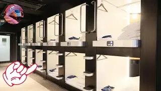 【Japan solo trip】Great trip to Asakusa in Tokyo for 13$ cheap capsule hotel and delicious food!