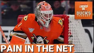 ALARMING: Luk&aacute;&scaron; Dost&aacute;l and Anaheim Ducks SLUMP&mdash;Will This TREND Lead to Major Changes?