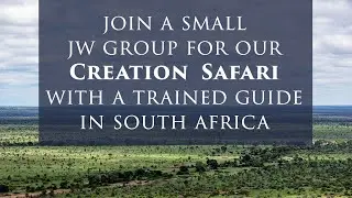Virtual Africa Creation Safari - Bible Tours