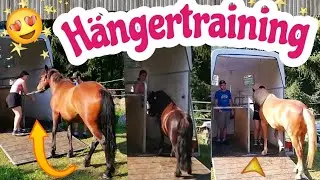 H&auml;ngertraining mit den Pferden - Shetty Chipsy, Huzule Chilli & Jungpferd Bacardi f&uuml;rs Praktikum