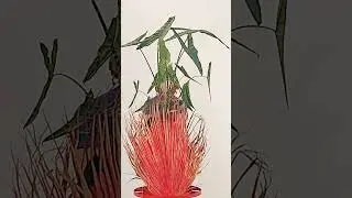 POS INDIGENISMOS MADRID ALOCASIA Y POSINDIGENA #bionicfestival #posindigenismos #madrid #arte #art