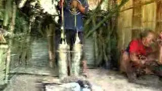 Hunter-Gatherer Maniq, Mlabri & Moken