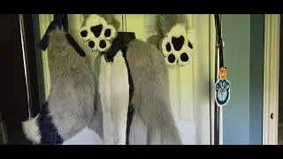 fursuit care