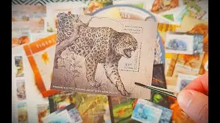 Коллекция почтовых марок фауна - Новые покупки - апрель 2025 часть 5 #collecting #collection