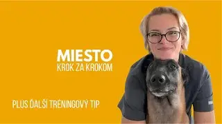 Máš doma chaos? Nauč psa tento jeden cvik a získaj pokoj (Sebaovládanie v praxi)
