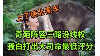 【王者荣耀骚白】奇葩阵容三路没线权 骚白打出大司命最低评分
