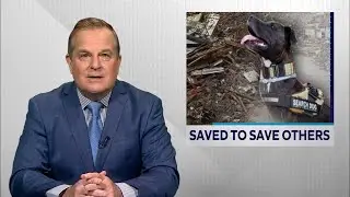 Saved to Save Others