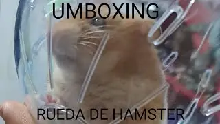 -VOLVEMOS con un UMBOXING!!!!!!- Rueda de HAMSTER 🐹 (10 meses despues)