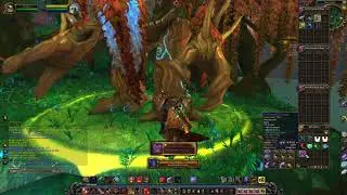 WoW Gameplay 2019