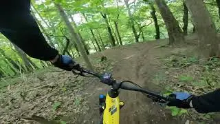 -TEST- MONDRAKER CRAFTY CARBON XR 2021