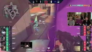 Plat Chat Reacts to BONECOLD MOLLY