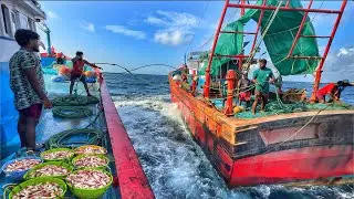 Wow‼️ Fishing Decided Our Survival Today | Day-07 