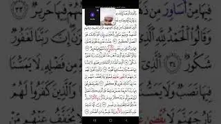 راويه الامام خلاد: سورة فاطر مع شيخنا طحان من مصر 