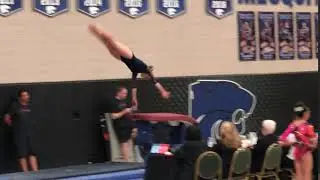 Level 8 - 2018 - AZ State Championships - Mar 17, 2018 - Sierra K. (Gold Medal) Vault 2
