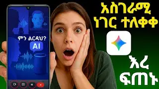 እረ ፍጠኑ ዓለምን እያነጋገረ ያለው የ gemini አዲስ ነገር  
