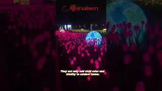 LED ground flower lights🌷#LED #flowers
