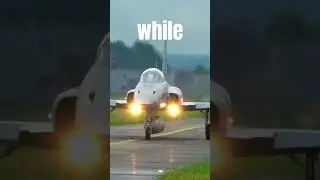 F-5 &ndash; Street Tiger with Wings 🐅✈️