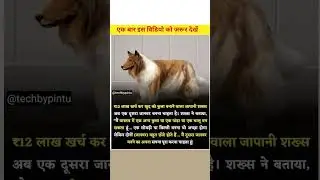 एक बार इस को जरूर देखें 😱🤔 | #facts #amazingfacts #techbypintu #factshorts #factvideo #shorts