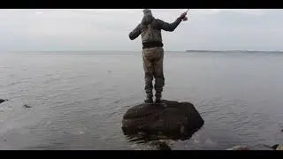 Sea trout fly fishing Helnaes Denemark