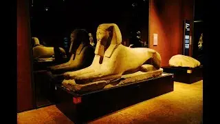 Torino: Famous Egyptian Museum in 4k